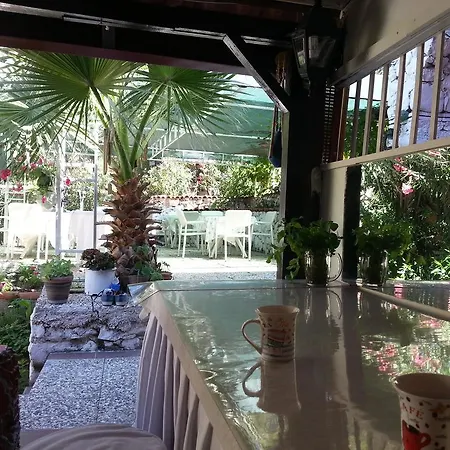 Apartment Kekikhan Olympos